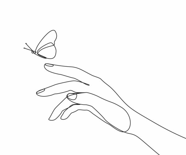 Butterfly,Flies,By,Hand,One,Line,Drawing,On,White,Isolated